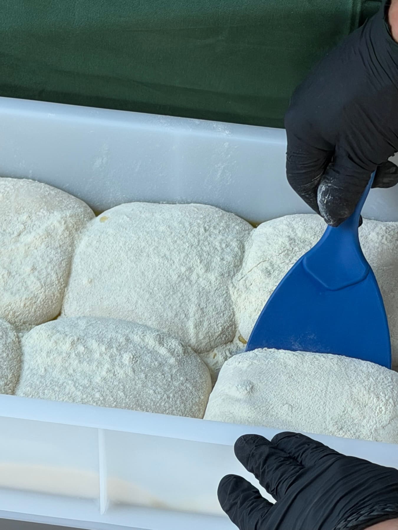 Gereifte Pizzateiglinge in einer bemehlten Teigbox