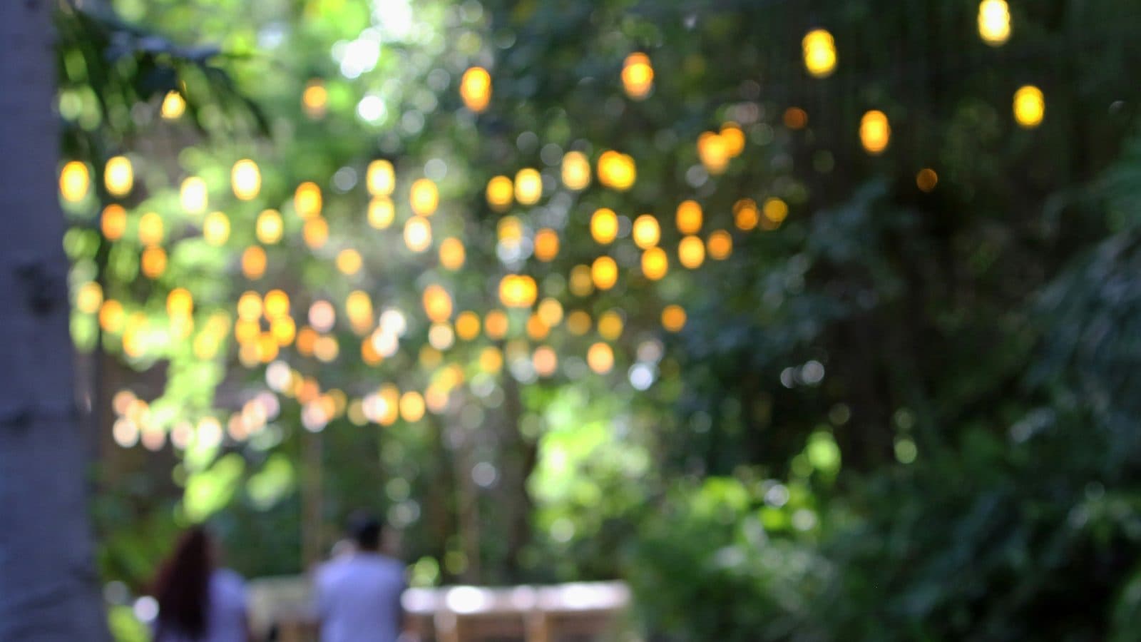 Gäste unter Lichterketten bei einer Feier im Garten